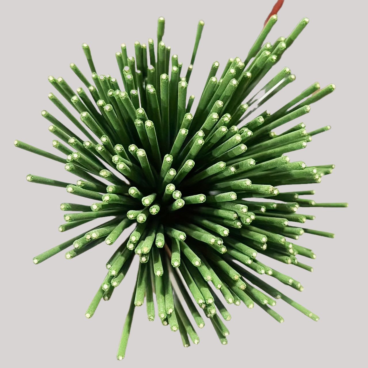 Reed Diffuser Sticks Lemongras - Home Fragrance Logo recension och pris
